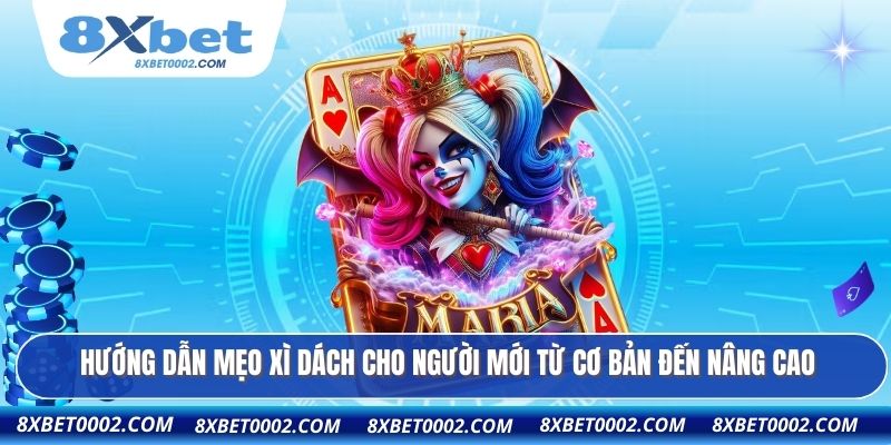 Hướng dẫn mẹo xì dách cho người mới từ cơ bản đến nâng cao