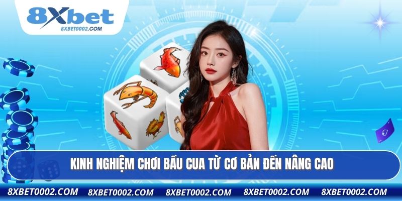 Kinh nghiệm chơi bầu cua từ cơ bản đến nâng cao